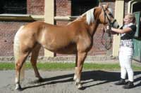 Rose. Pro zv�t�en� klikn�te