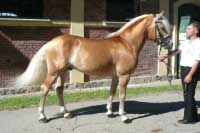 Art. Pro zv�t�en� klikn�te