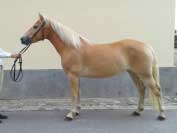 Sunny Girl. Pro zv�t�en� klikn�te