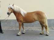 Corinne. Pro zv�t�en� klikn�te