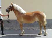 Lenny. Pro zv�t�en� klikn�te