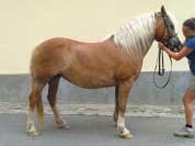 Valent�nka. Pro zv�t�en� klikn�te