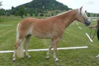 Amelina. Pro zv�t�en� klikn�te