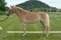 Demelie. Pro zv�t�en� klikn�te