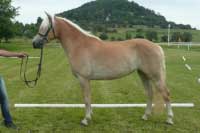 Hoffnung. Pro zv�t�en� klikn�te