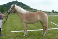 Serinja. Pro zv�t�en� klikn�te