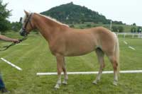 Candygirl. Pro zv�t�en� klikn�te