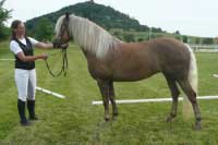 Lady Diana. Pro zv�t�en� klikn�te