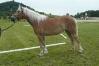 Tessa. Pro zv�t�en� klikn�te