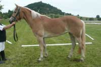 Gama. Pro zv�t�en� klikn�te