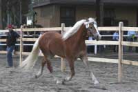 Artist - hodnocen� ve volnosti. Pro zv�t�en� klikn�te