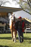 Artist. Pro zv�t�en� klikn�te