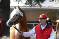 H�ebec Artist. Pro zv�t�en� klikn�te