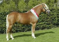 Aquavit I. Pro zv�t�en� klikn�te