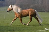 Aquavit I. Pro zv�t�en� klikn�te