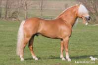 Aquavit I. Pro zv�t�en� klikn�te