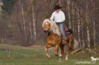 Aquavit I. Pro zv�t�en� klikn�te