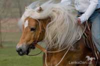 Aquavit I. Pro zv�t�en� klikn�te