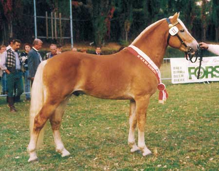 H�ebec Nibelung-V ve 3 letech