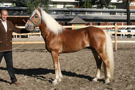 H�ebec Nibelung-V v roce 2007