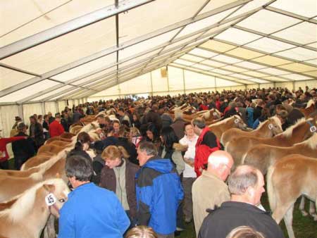 Stan pln� h��bat