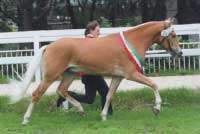 Aksel Lund se stal rezervn�m �ampionem. Pro zv�t�en� klikn�te