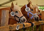 Zdroj: pro.media kommunikation/Stiefm�ller. Pro zv�t�en� klikn�te