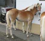 P�ed odjezdem dom�. Pro zv�t�en� klikn�te