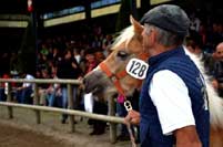 Zdroj: pressezone.at. Pro zv�t�en� klikn�te