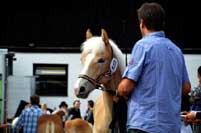 Zdroj: pressezone.at. Pro zv�t�en� klikn�te