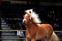 Zdroj: pressezone.at. Pro zv�t�en� klikn�te