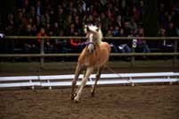 Zdroj: pressezone.at. Pro zv�t�en� klikn�te