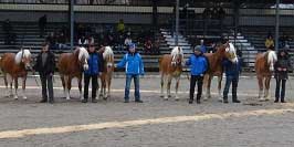 Uchovn�n� h�ebci. Pro zv�t�en� klikn�te