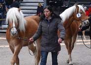 V�t�z. Pro zv�t�en� klikn�te