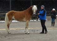 Adrin. Pro zv�t�en� klikn�te