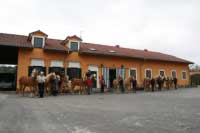 Prn�ho turnusu v b�eznu se z��astnilo celkem 13 dvojic. Pro zv�t�en� klikn�te