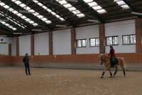 Lucie �erm�kov� m�la na starost nejen organizaci, ale se sv�m h�ebcem Artem se tak� aktivn� ��astnila tr�ninku. Pro zv�t�en� klikn�te