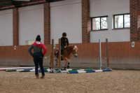 Hanka Civi�ov� tr�novala p�edev��m skokovou ��st jezdc�. Pro zv�t�en� klikn�te