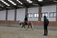 Dubnov� term�n si nenechal uj�t plemen�k Amaranth. Pro zv�t�en� klikn�te