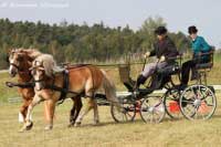 Pro zv�t�en� klikn�te