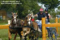 Pro zv�t�en� klikn�te