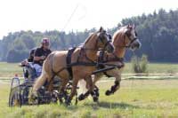 Pro zv�t�en� klikn�te