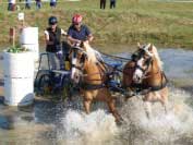 Pro zv�t�en� klikn�te