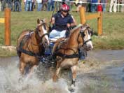 Pro zv�t�en� klikn�te