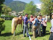 Na svodu klisen se n�m maxim�ln� v�noval Helmut Breitenberger. Pro zv�t�en� klikn�te