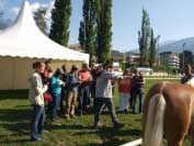 Svod klisen. Pro zv�t�en� klikn�te