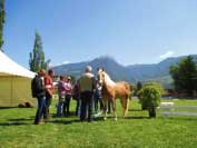 Svod klisen. Pro zv�t�en� klikn�te