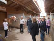 St�je v M�nsteru. Pro zv�t�en� klikn�te