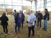 N�v�t�va u Lukase Scheibera. Pro zv�t�en� klikn�te