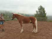 Lo�sk� v�t�z k�rungu Alex-S. Pro zv�t�en� klikn�te